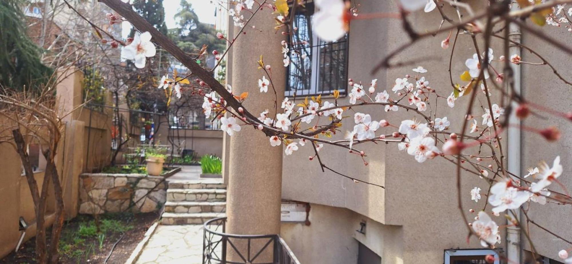 Iliani Hotel Tbilisi Exterior foto